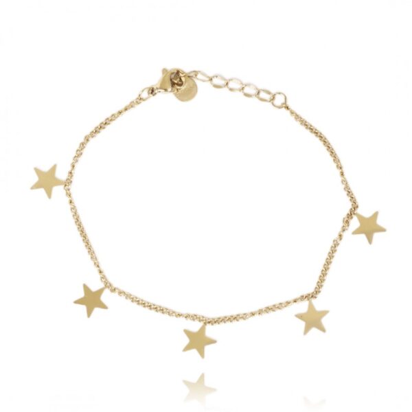 Armband van stainless steel met 14 krt goudplating BST1347
