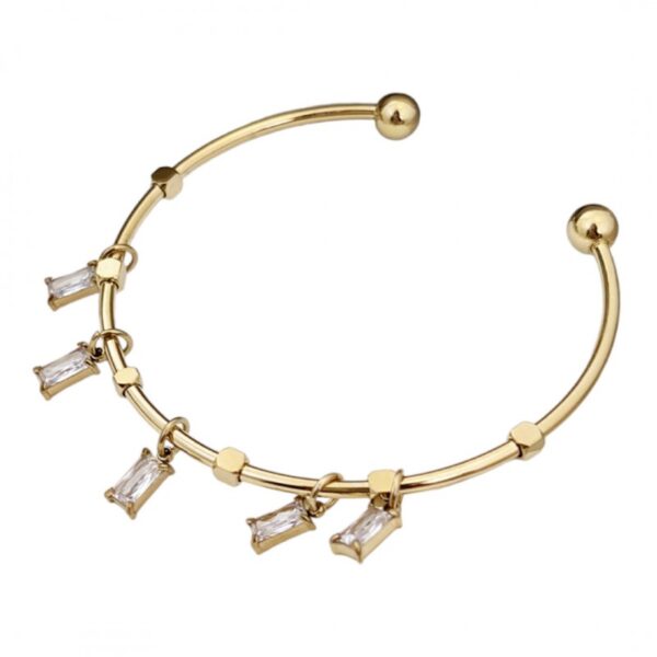 Armband van stainless steel met 14 krt goudplating BST1375B