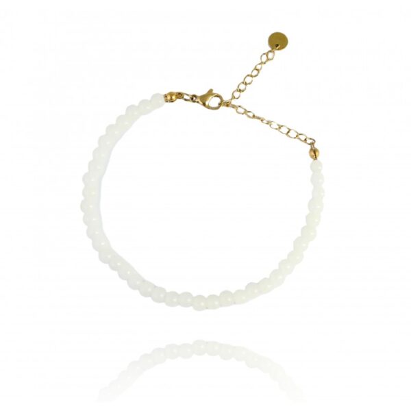 Armband van stainless steel met 14 krt goudplating BST1422