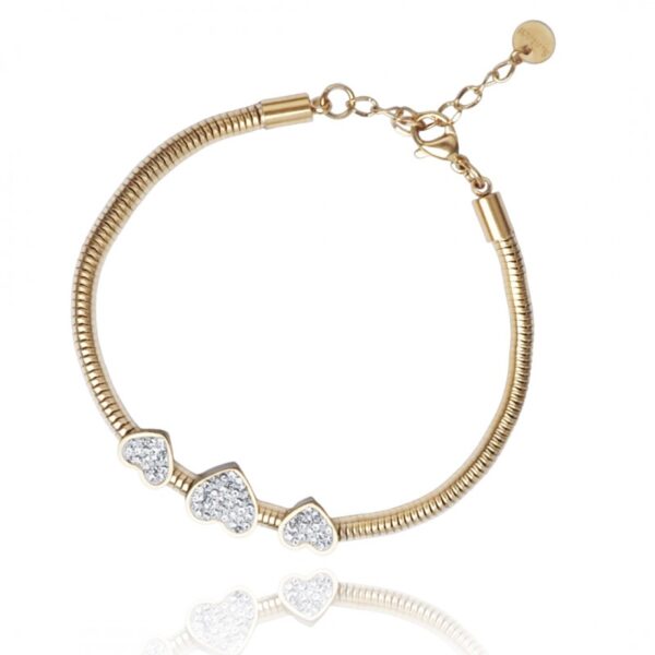 Armband van stainless steel met 14 krt goudplating BST1467