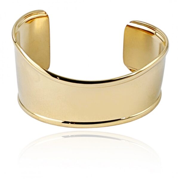 Armband van stainless steel met 14 krt goudplating BST1538