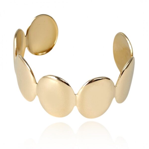 Armband van stainless steel met 14 krt goudplating BST1542
