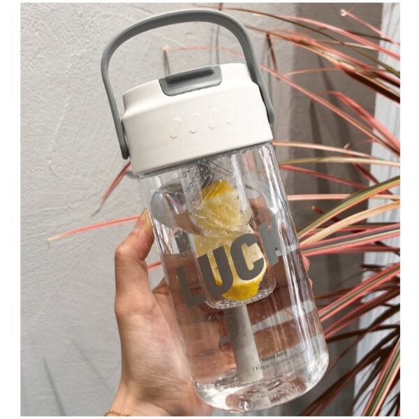 Fles, waterfles met mandje en rietje 800 ml Lucky BD36