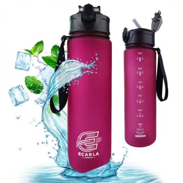 Waterfles, sportfles mat 750 ml bordeauxrood SUPER SPORT BD49